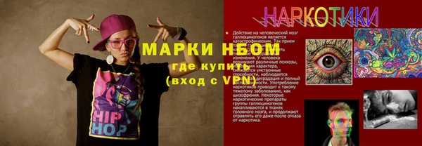 гидра Богородск