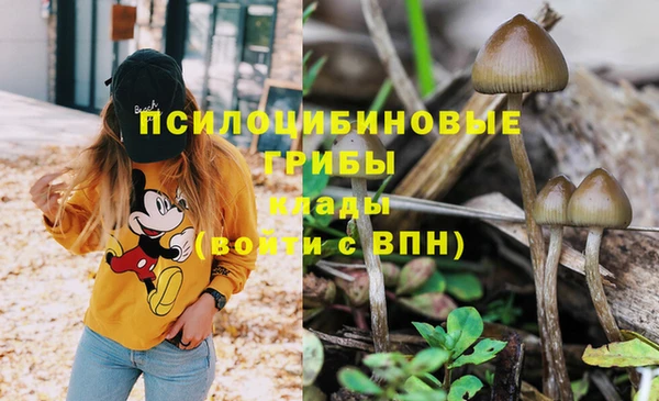 мдпв Костерёво