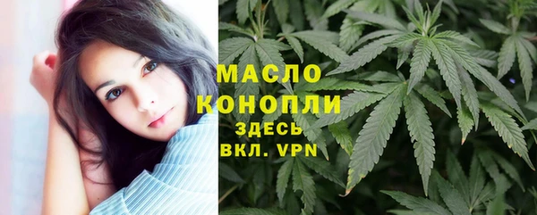 амф Бородино