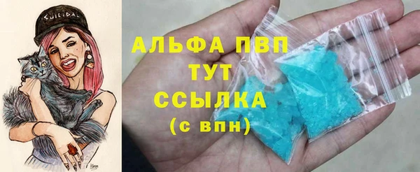 амф Бородино