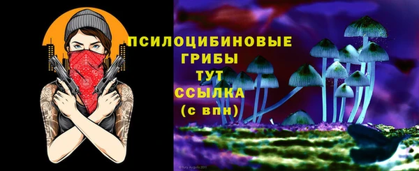 амф Бородино